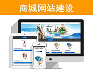 商城網(wǎng)站建設有哪些功能？