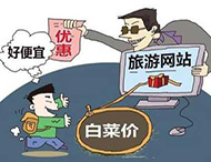 農村旅游網(wǎng)站建設及用戶(hù)體驗度的提高？